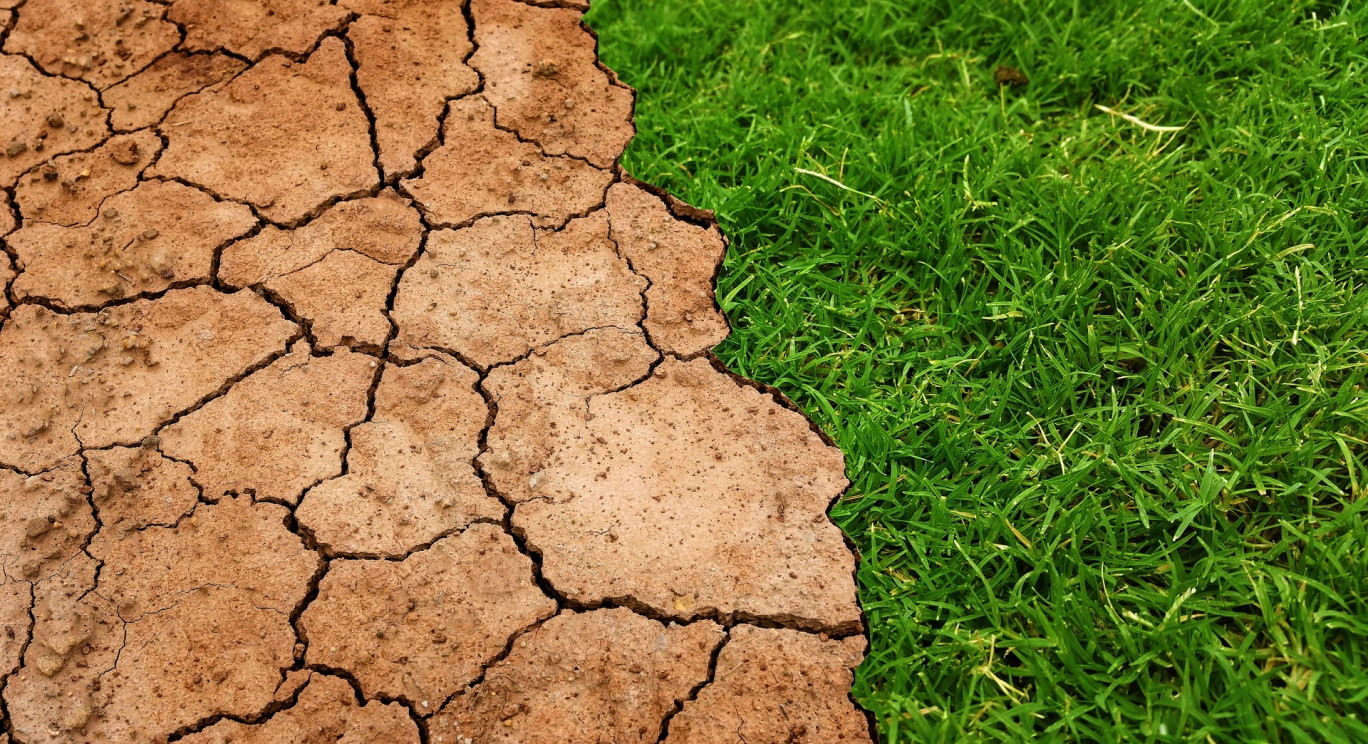 Les fortes périodes de canicule annoncées comme plus fréquentes exigent désormais un nouveau modèle de construction des bâtiments. 