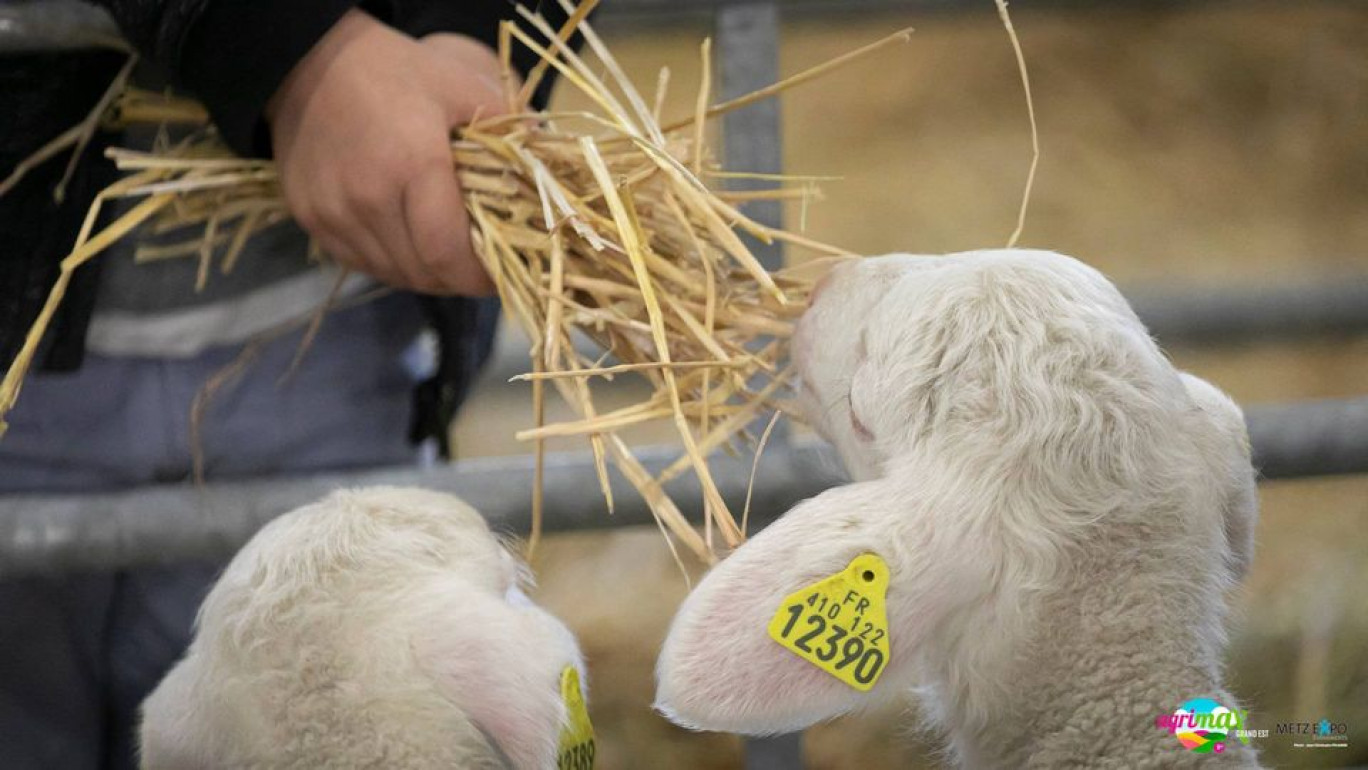 Le salon Agrimax lève le rideau sur sa 10e édition.