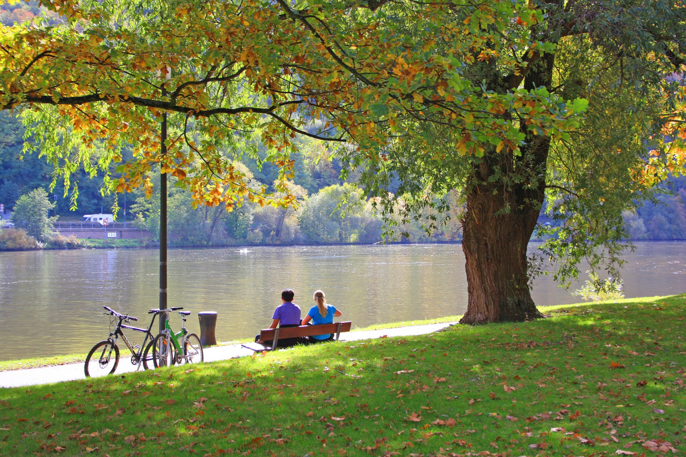 La Moselle est riche de la diversité de ses territoires, de ses femmes et hommes la faisant vivre chaque seconde, de ses élus engagés.