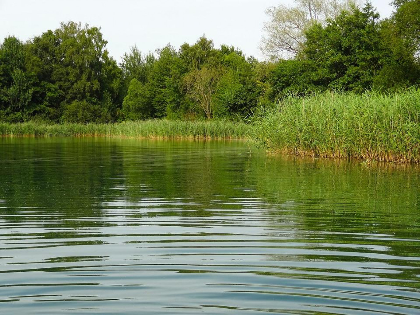 Ce 9 juillet, l’agence de l’eau Rhin-Meuse et la Communauté d’agglomération du Val de Fensch signeront un contrat de territoire «Eau et Climat».
