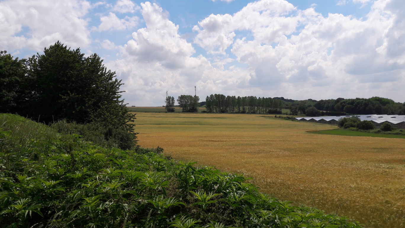 © La Française de l’énergie Le lieu d’implantation du futur parc photovoltaïque, sur le site de l’ancien centre d’enfouissement de Tritteling-Redlach.