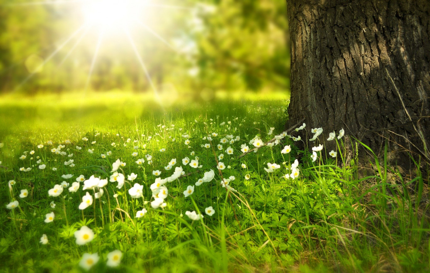 Préserver la biodiversité : un enjeu vital et immédiat. 