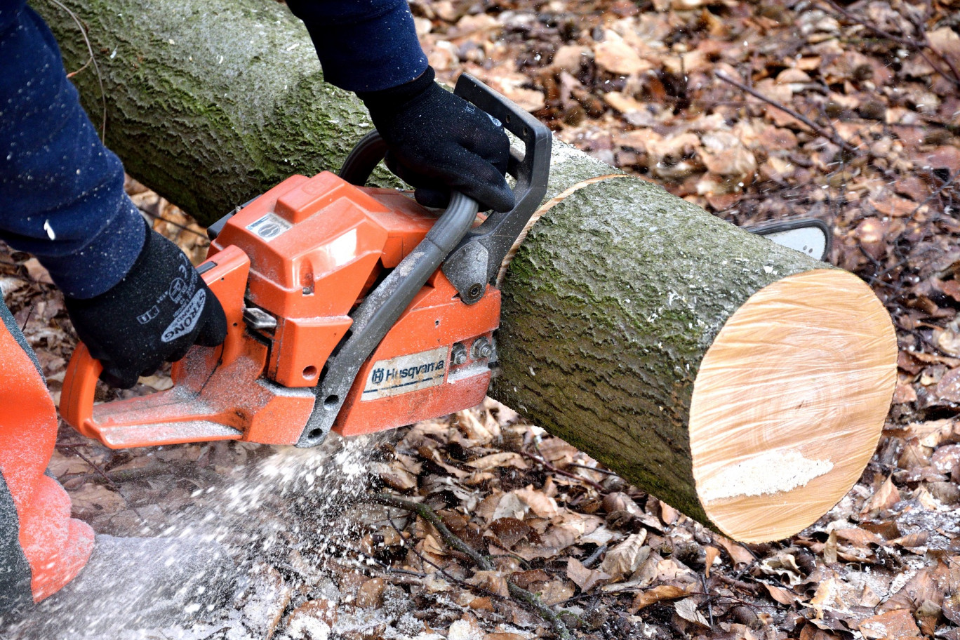 Les métiers de la filière bois recrutent, sans toujours trouver les candidats aux postes proposés. 