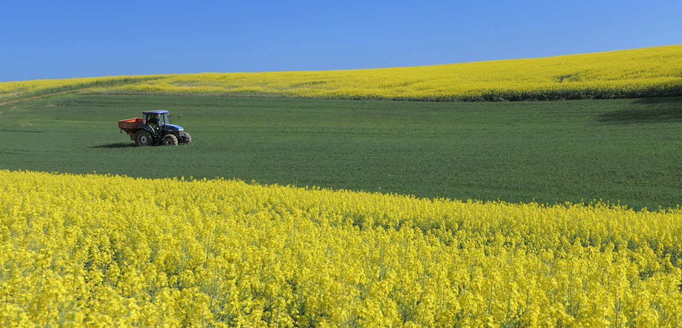 La politique agricole commune européenne vient en soutien à plus de 2 000 exploitants agricoles de Moselle. 