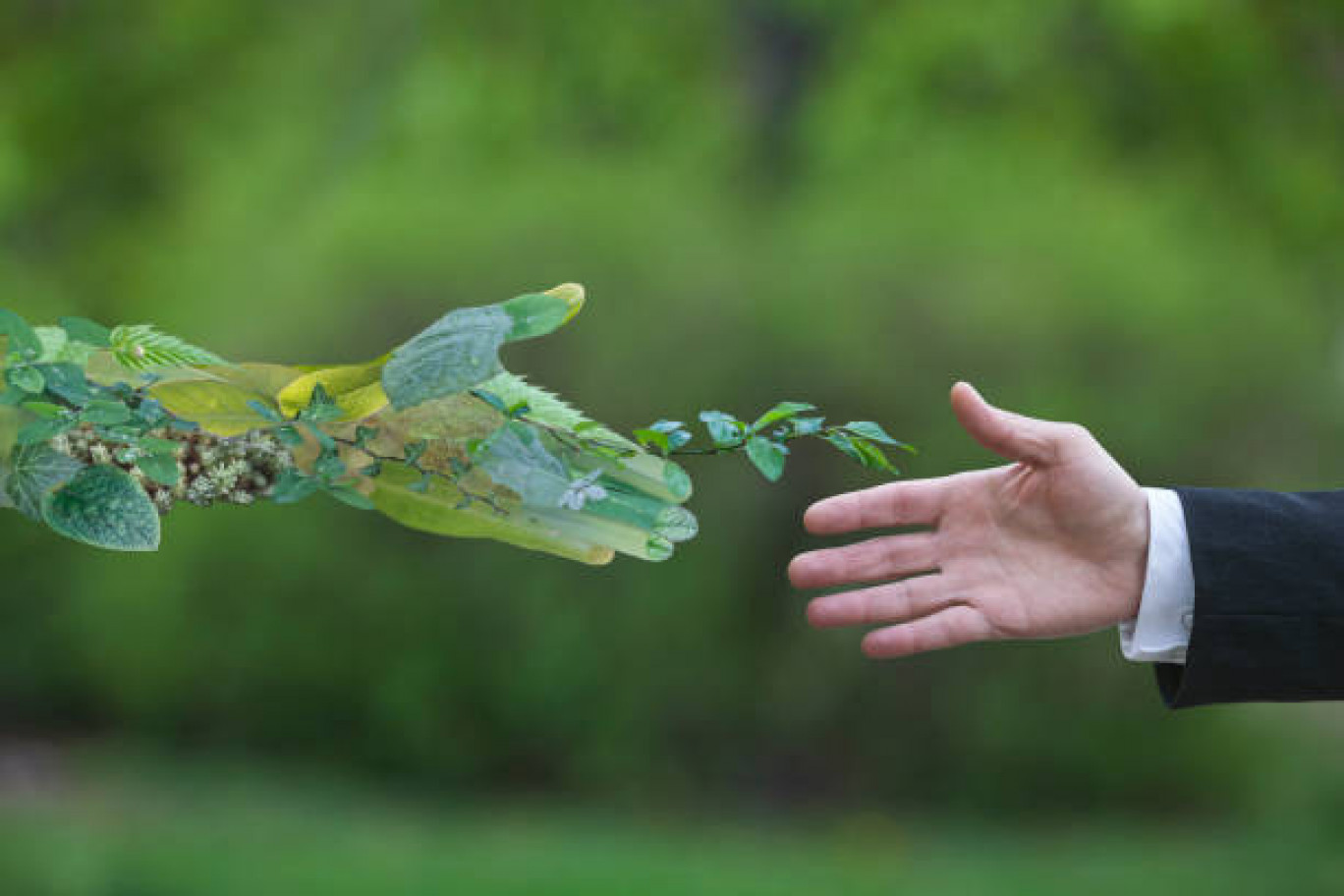 Protection de l'environnement et dynamisme économique ne sont pas dissemblables : bien au contraire. 