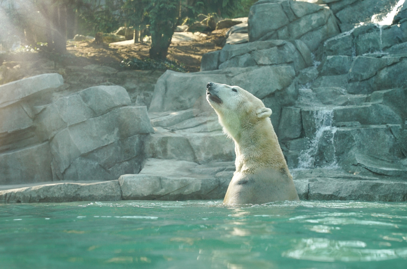 © Zoo d’Amnéville.