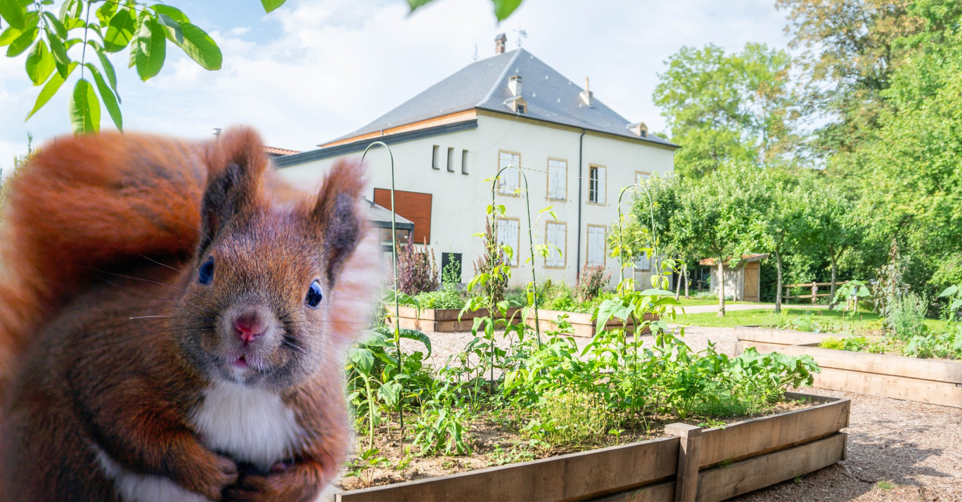 Rendez-vous au moulin cet été. © : CCAM.