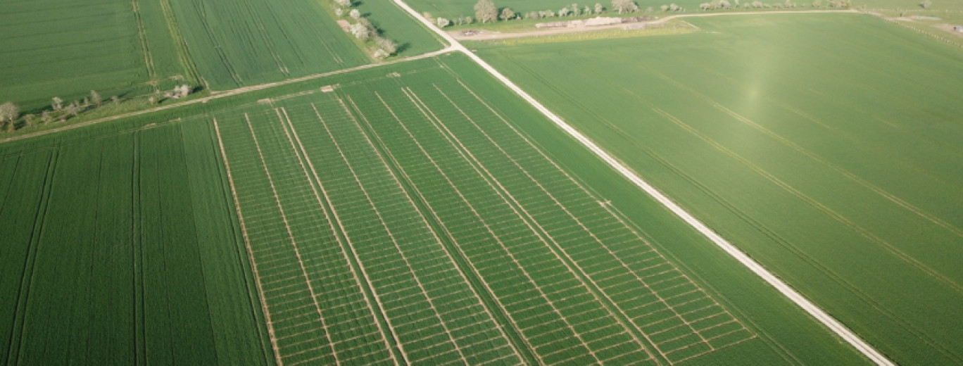 Damier Vert. (c) Coopérative agricole de Lorraine.