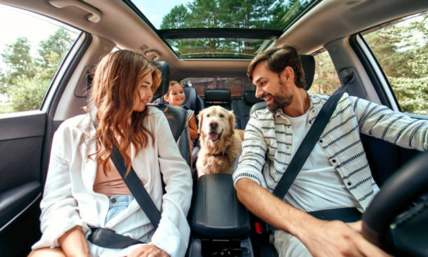 70 % des Français emmènent leur animal de compagnie en vacances.