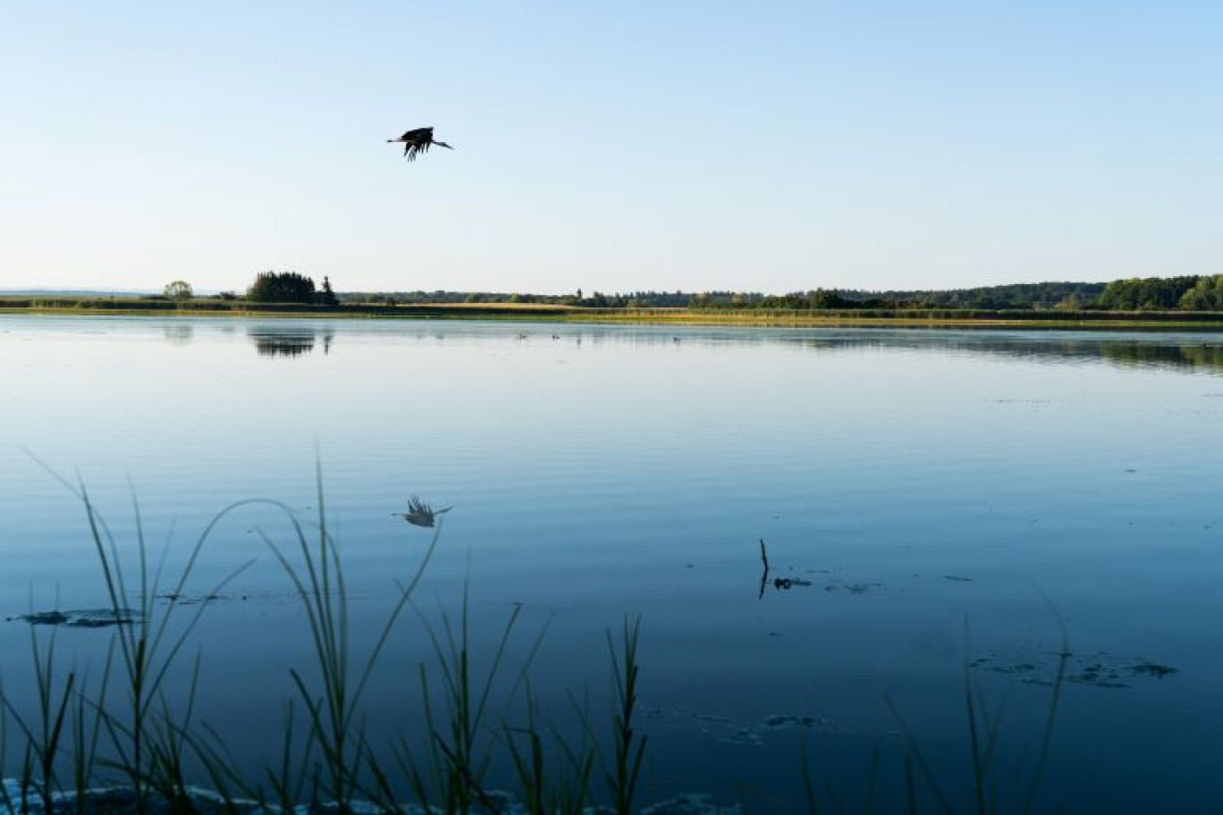 Le Domaine de Lindre. © Guillaume Ramon.