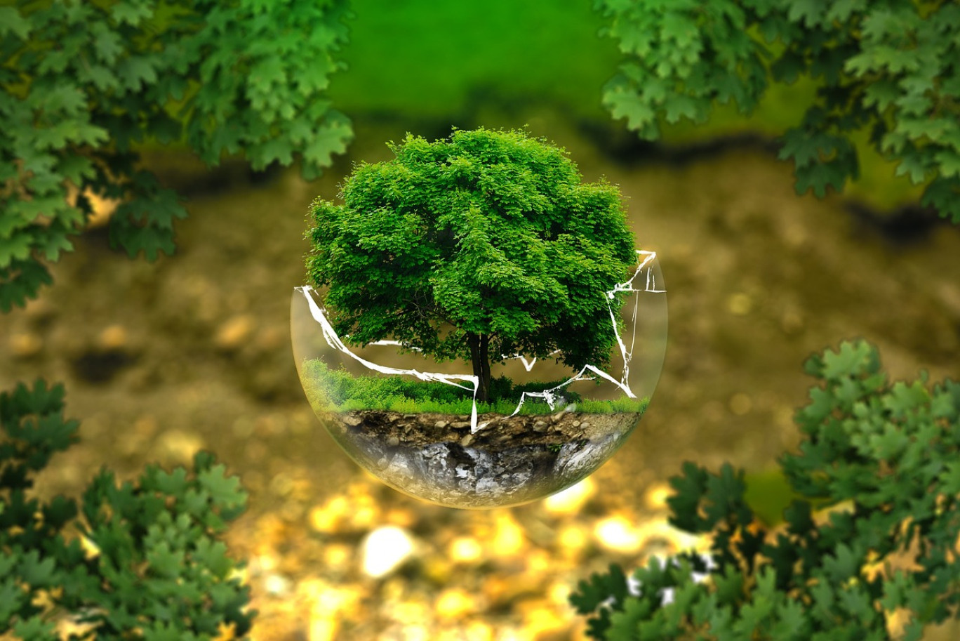 Plus que jamais, nos quotidiens doivent être guidés par des modes plus sobres et plus vertueux pour répondre aux enjeux climatiques.