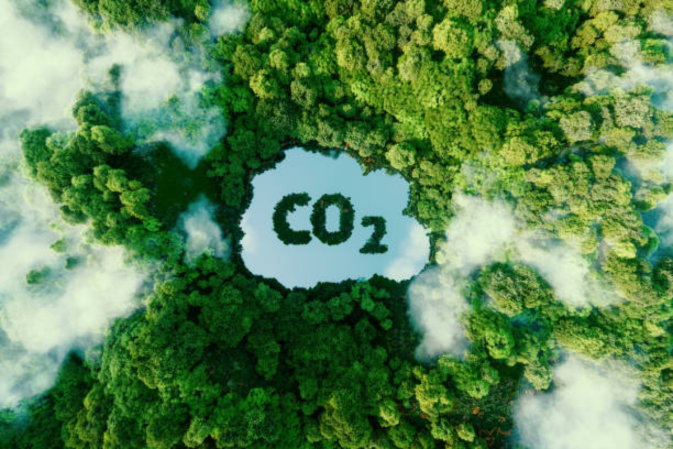 Priorité : réduire le CO2 dans l'atmosphère. 
