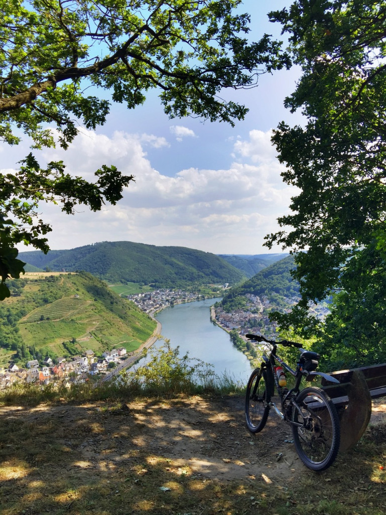 La Moselle aux multiples découvertes. 