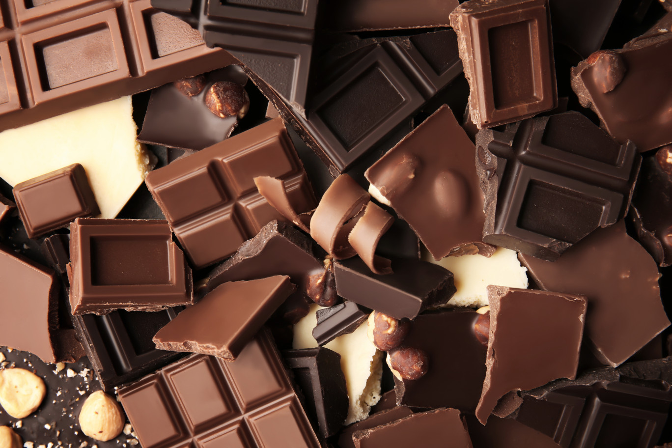 Première édition d'un salon dédié au chocolat à Metz.