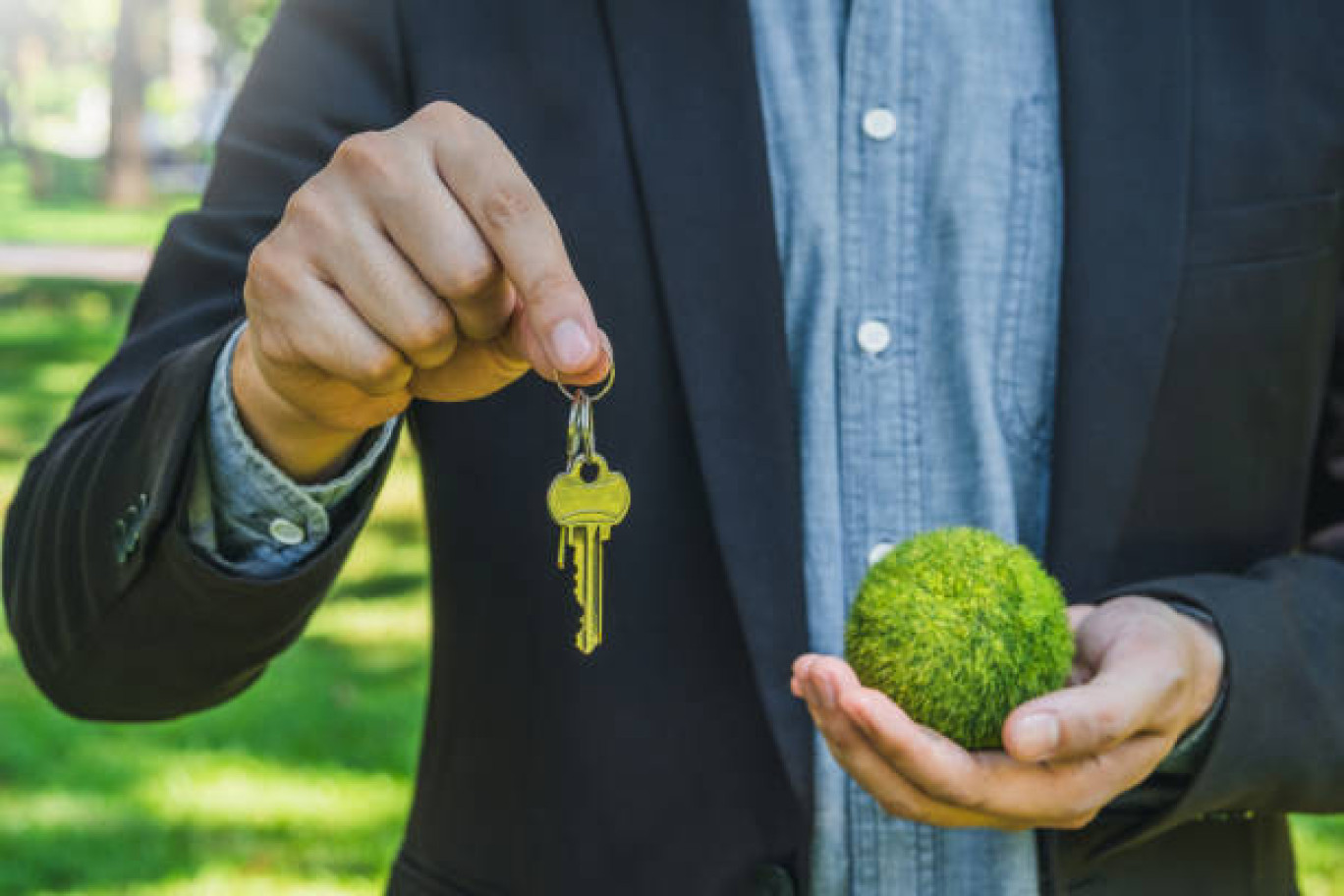 La sphère entrepreneuriale a beaucoup à apporter à la transition écologique.