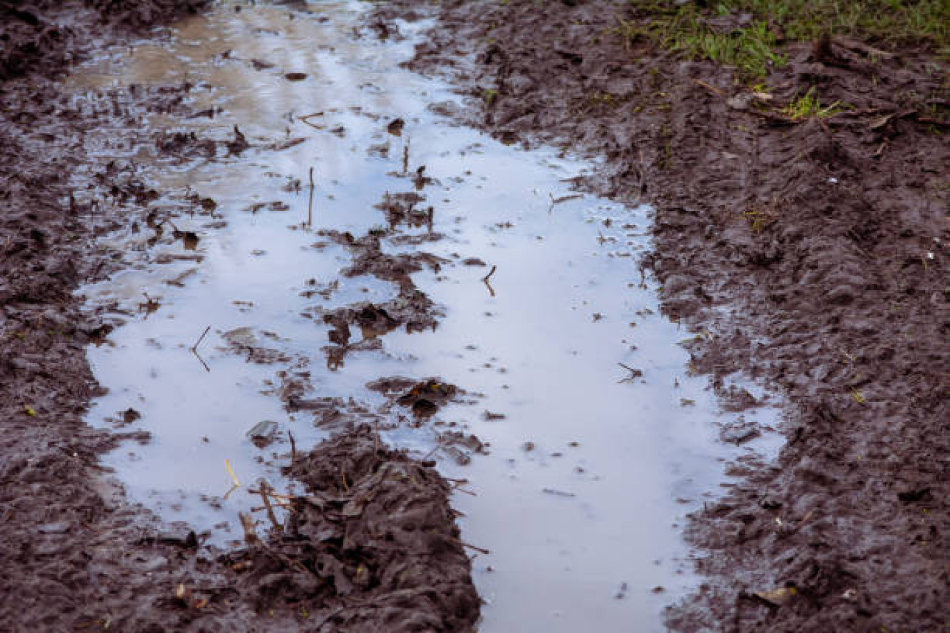 La reconnaissance de l'état de catastrophe naturelle ouvre doit à indemnisation.