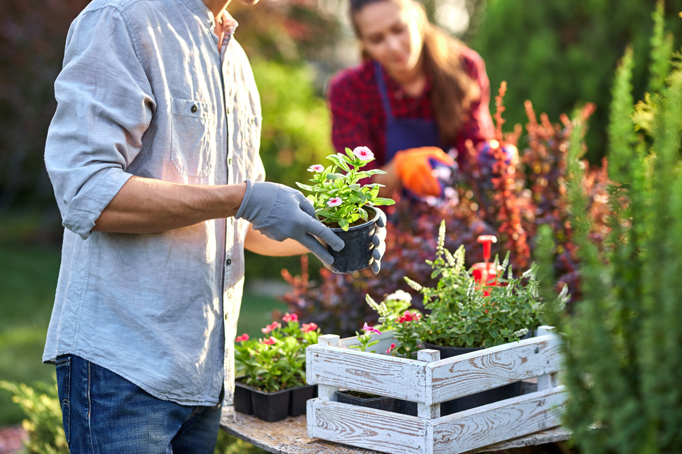 Rendez-vous aux Jardins. 