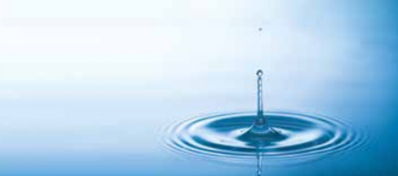 Les trois pôles nationaux de compétitivité de la filière Eau, dont Hydreos dans le Grand Est, viennent de créer une fédération commune : France Water Team.