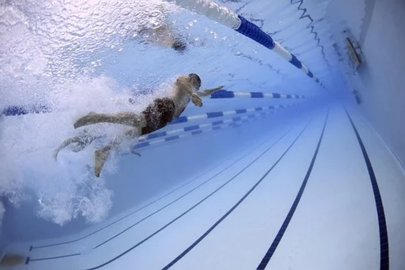 La piscine olympique de Forbach fait peau neuve