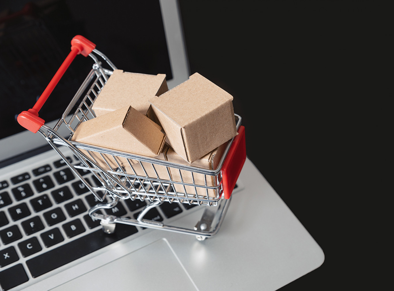 Crise : Des TPE s'efforcent de prendre le train du e-commerce