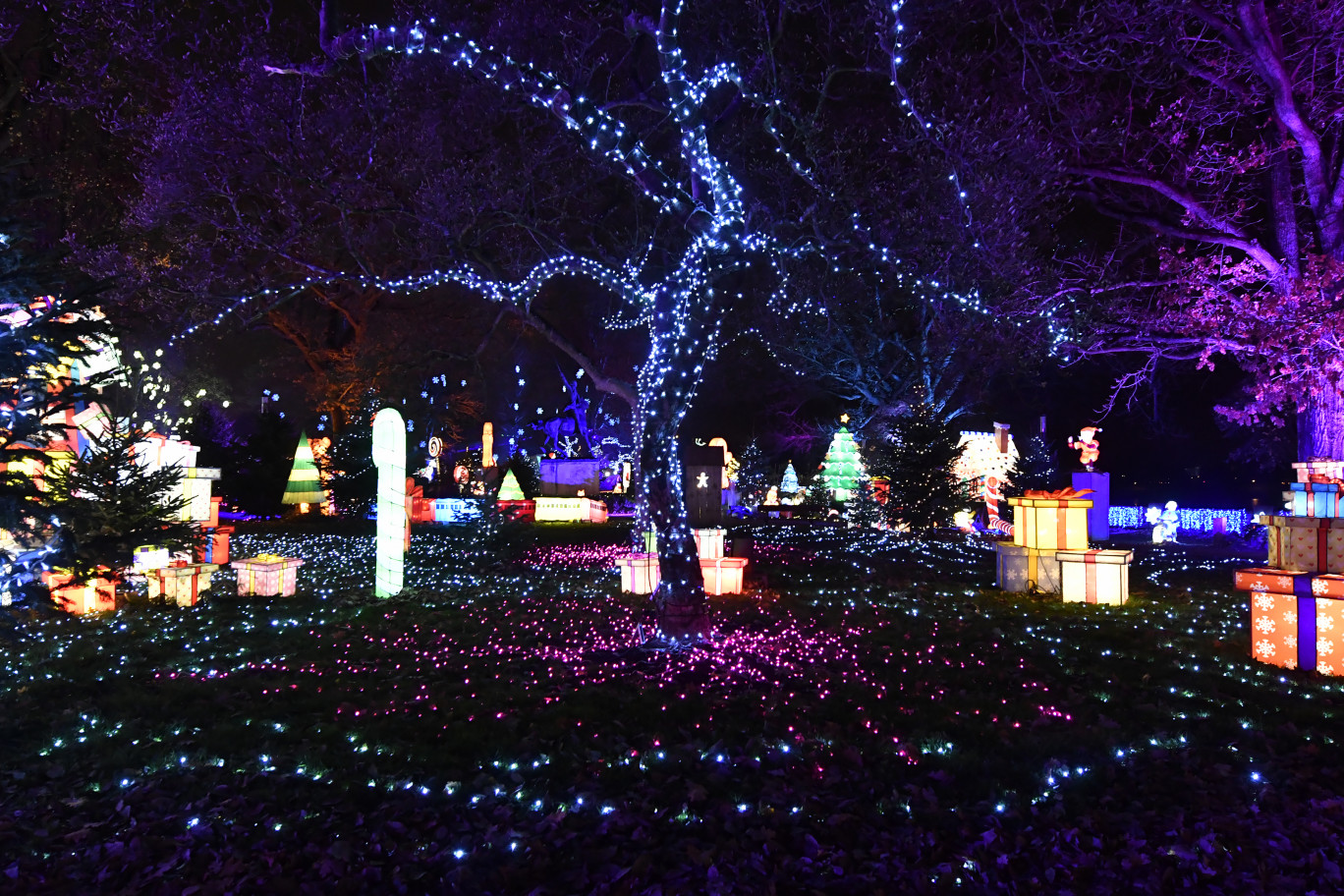 Durant ces fêtes de fin d'année, Metz revêt ses habits de lumière. (c) CD57.